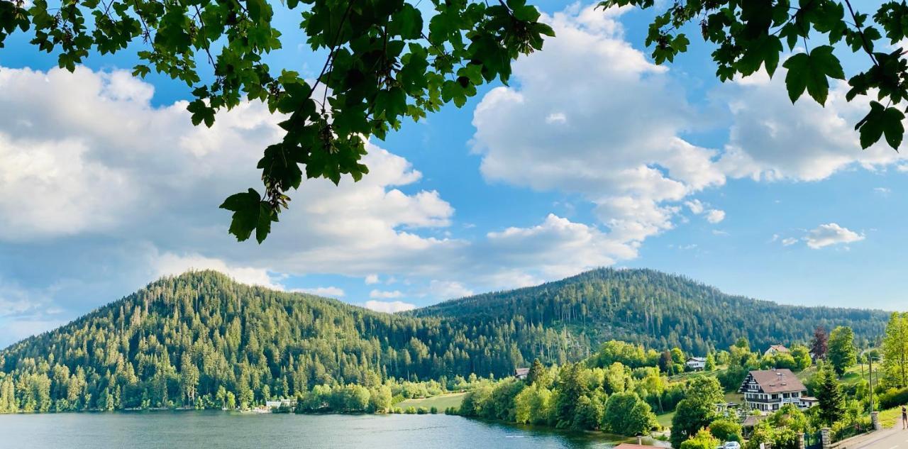 Le Chalet Au Bord Du Lac Gérardmer Eksteriør bilde
